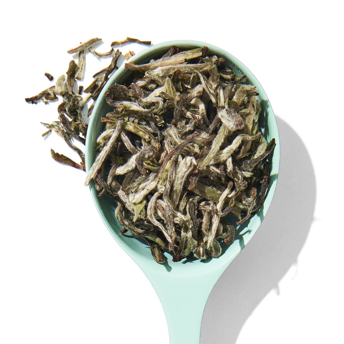 Organic Nepal White Tea