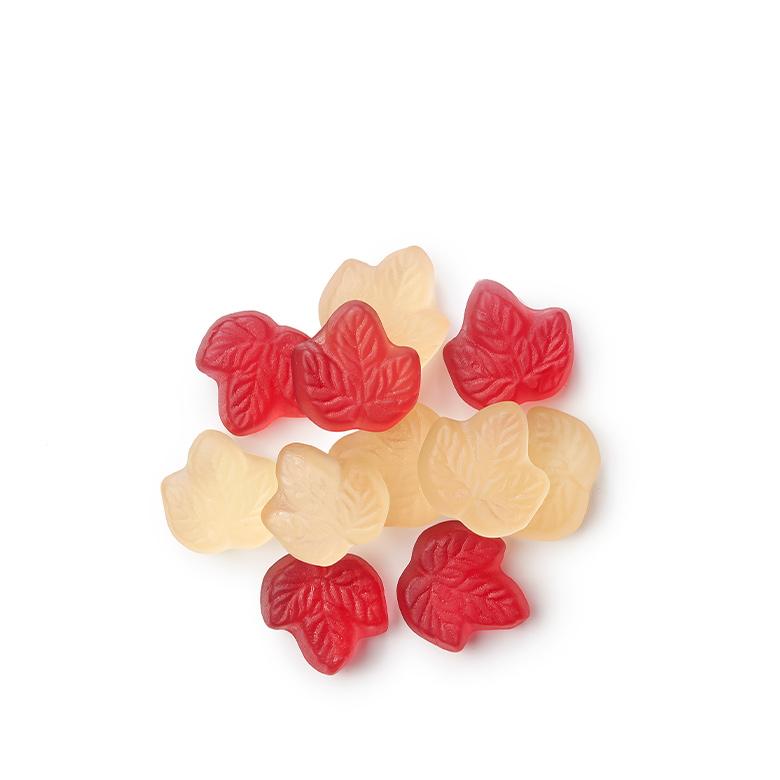 Bonbons gélifiés végétaliens Eh Canada par Squish