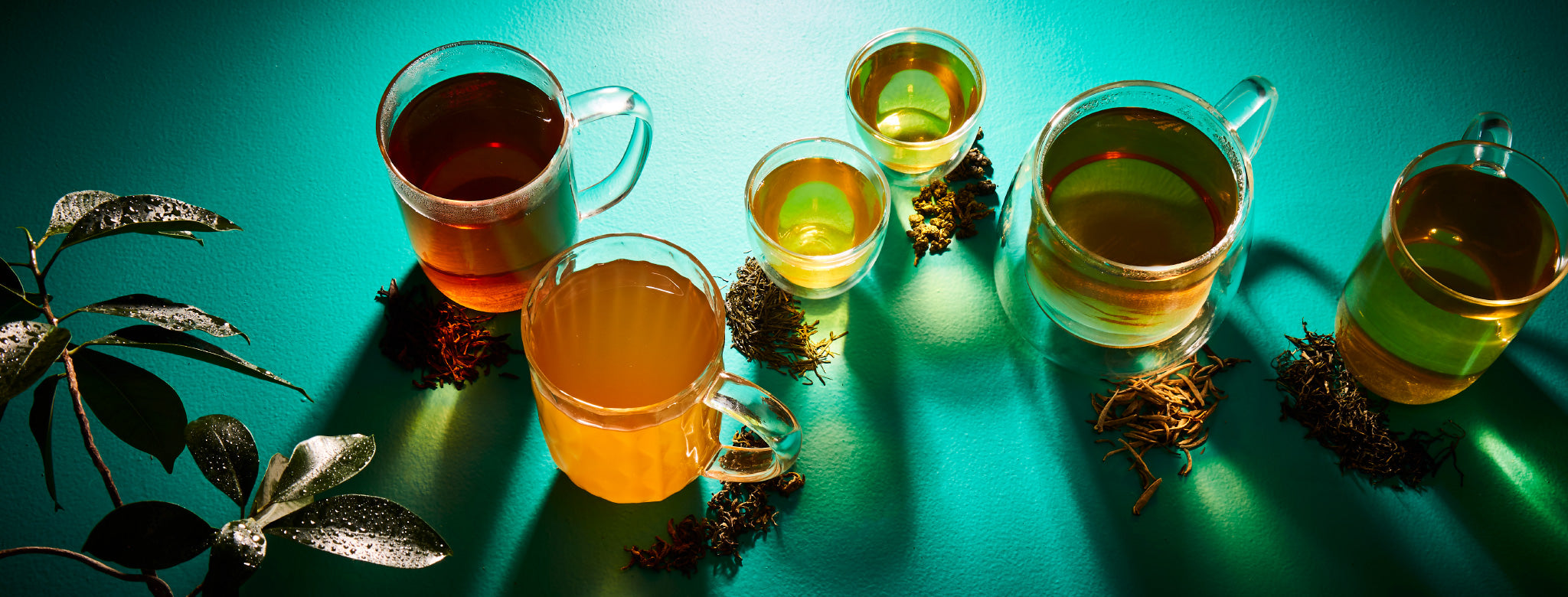 The Top 5 traditional teas you need in your collection