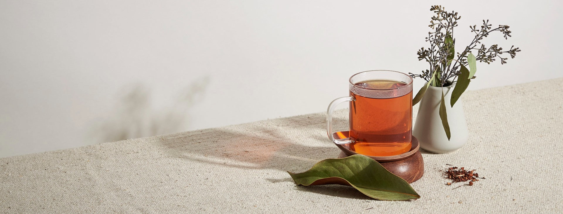Introducing Wild Grown Rooibos from South Africa – DAVIDsTEA