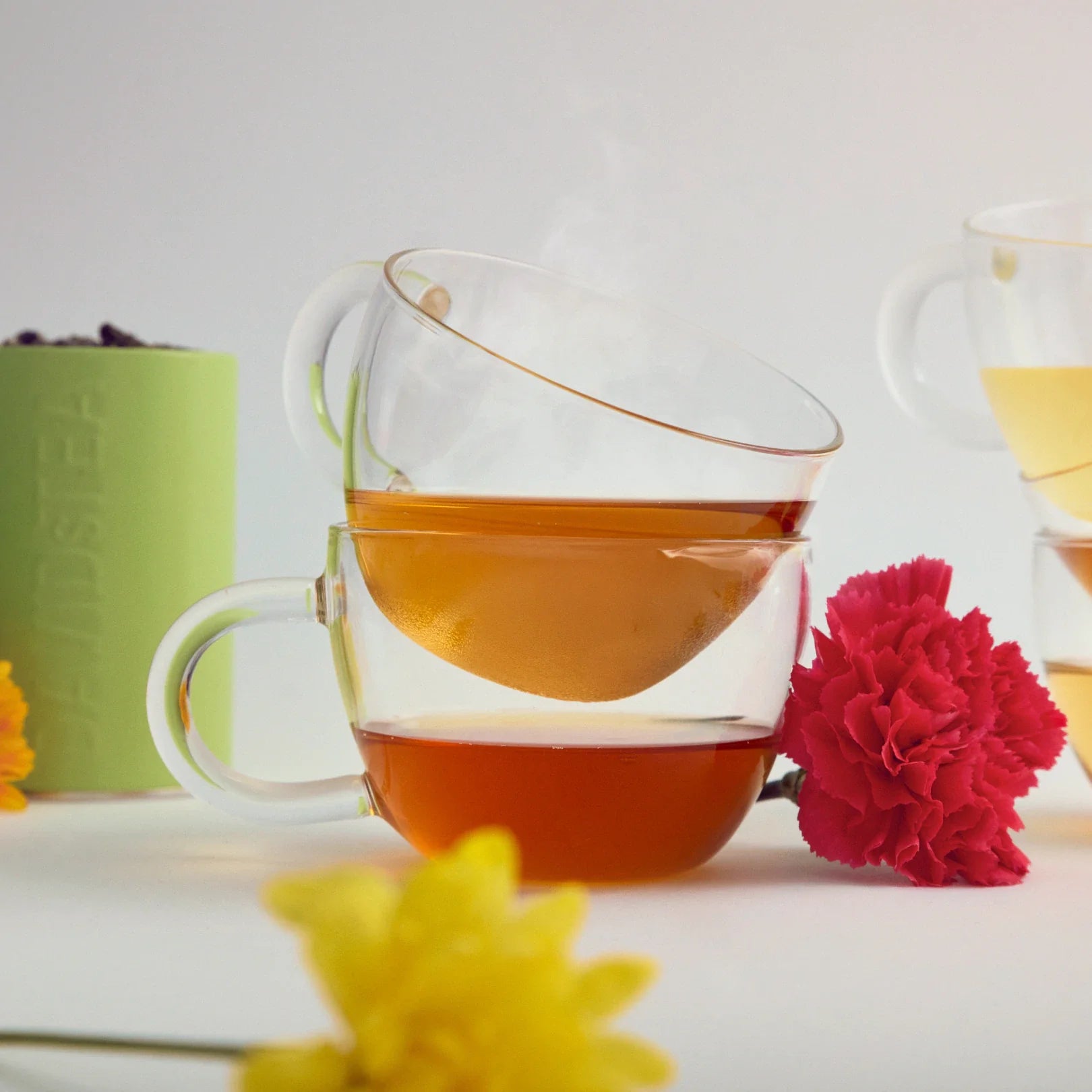 Green Tea Gilgit Green Teas – DAVIDsTEA