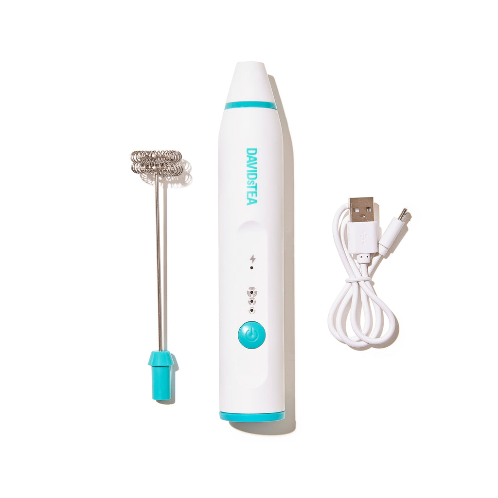 Handheld Double Milk Frother  secondary