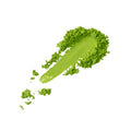 Organic Grand Cru Matcha