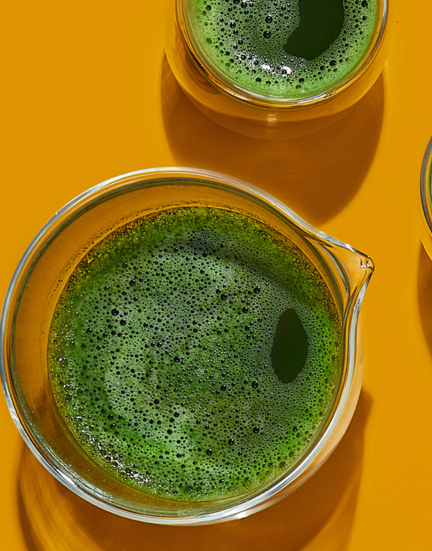 matcha shop – DAVIDsTEA