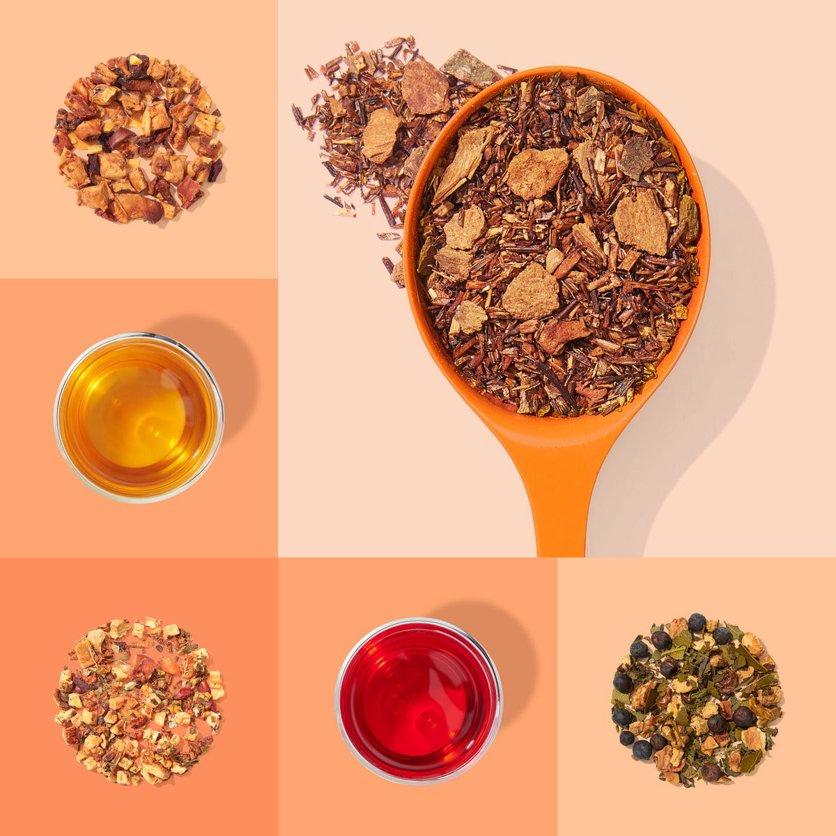 Forever Nuts for Tea Bundle