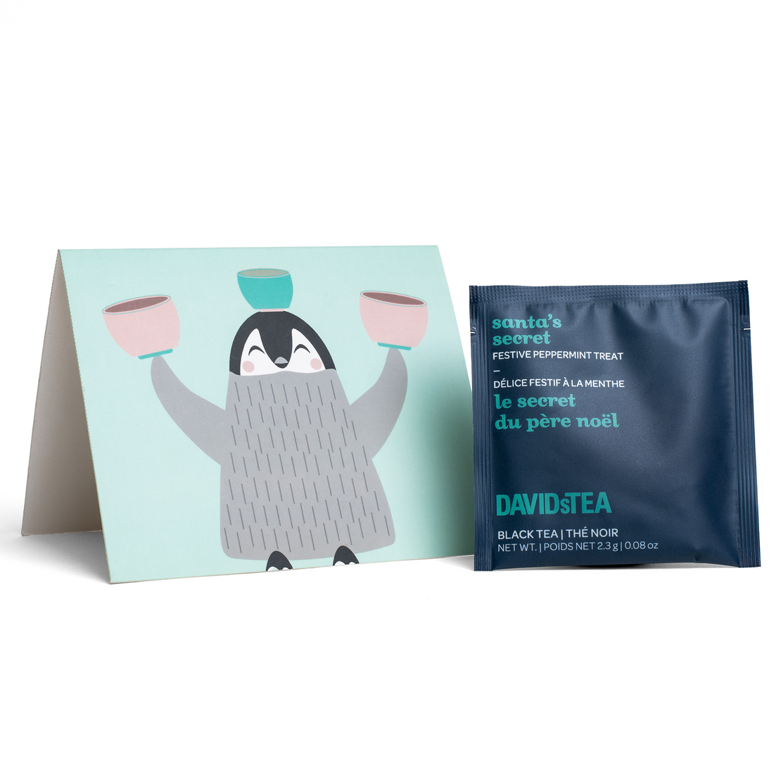 Set of 25 Jugglin' Penguin Notecards & Santa's Secret Sachets