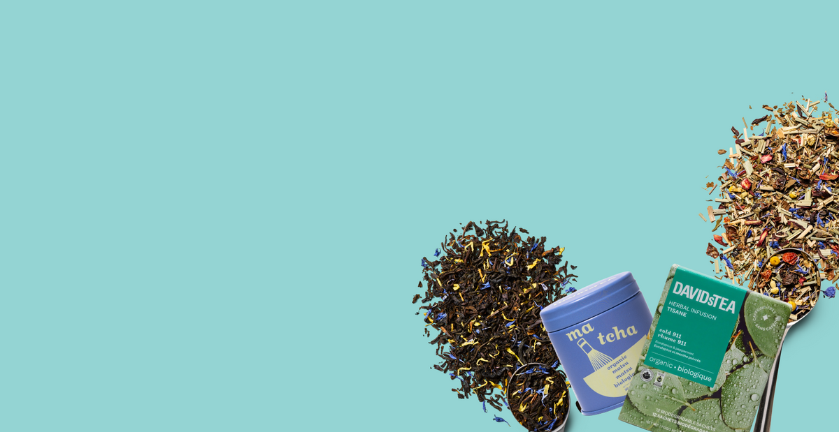 Pour les bas de noël – Page 6 – DAVIDsTEA