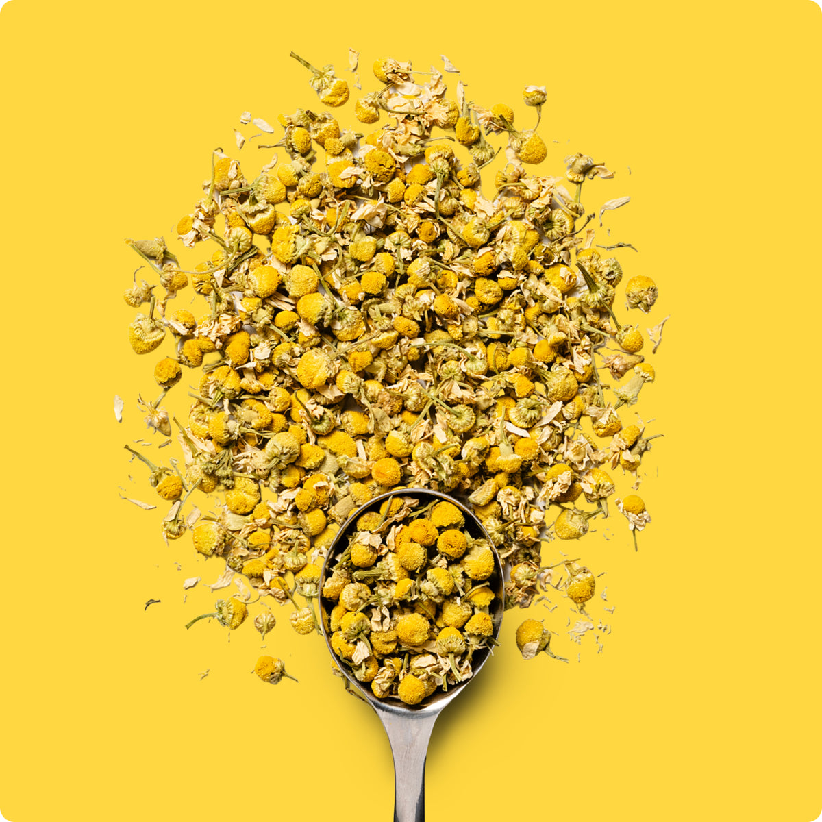 Organic Calming Chamomile Tea