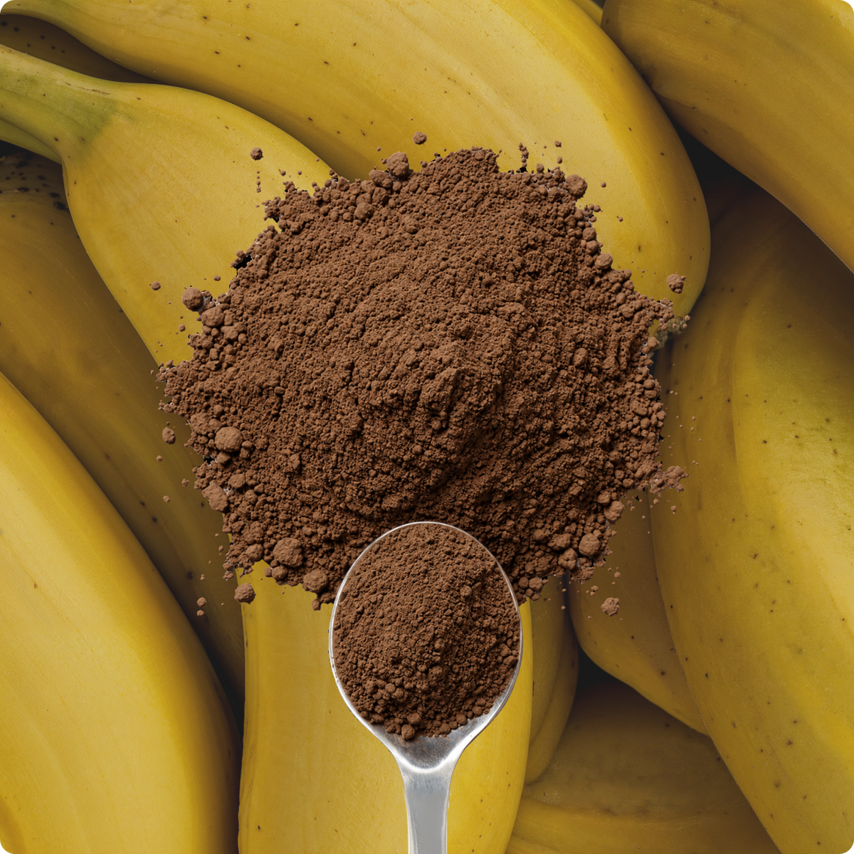 Banana Bread Hojicha Powder