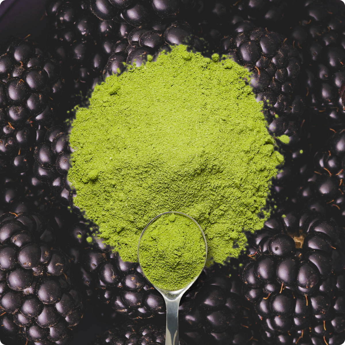 Blackberry Matcha