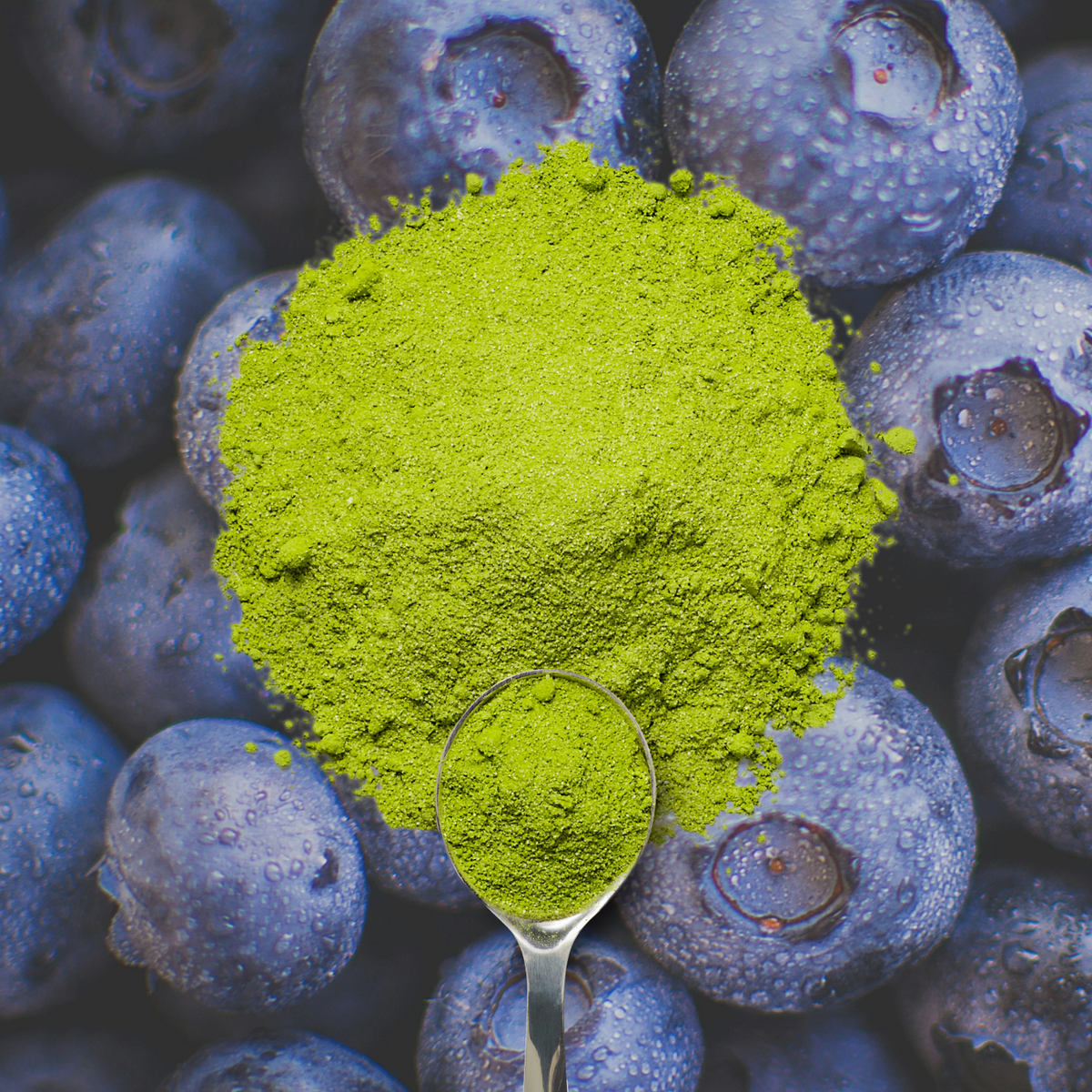 Organic Blueberry Matcha