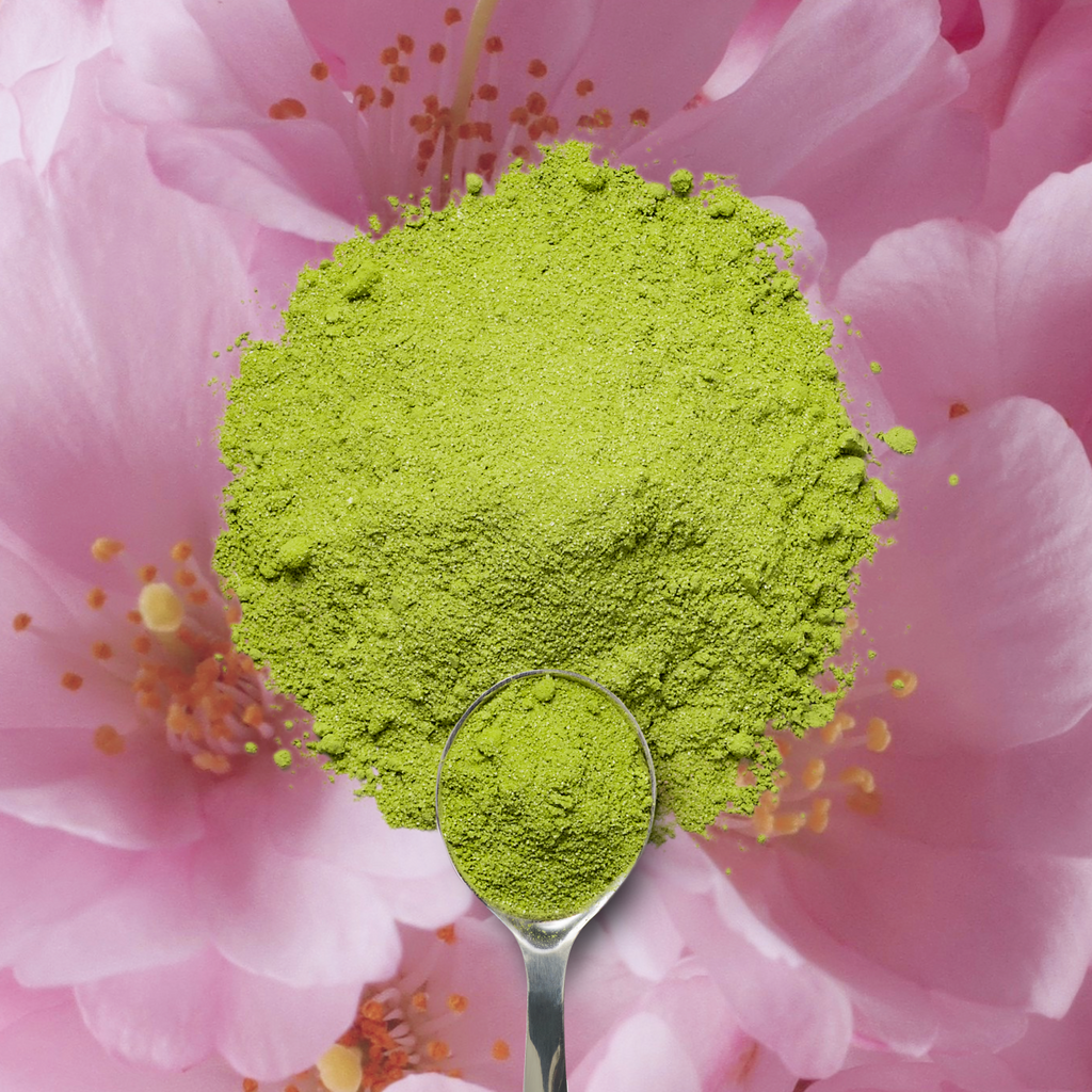 Organic Cherry Blossom Matcha