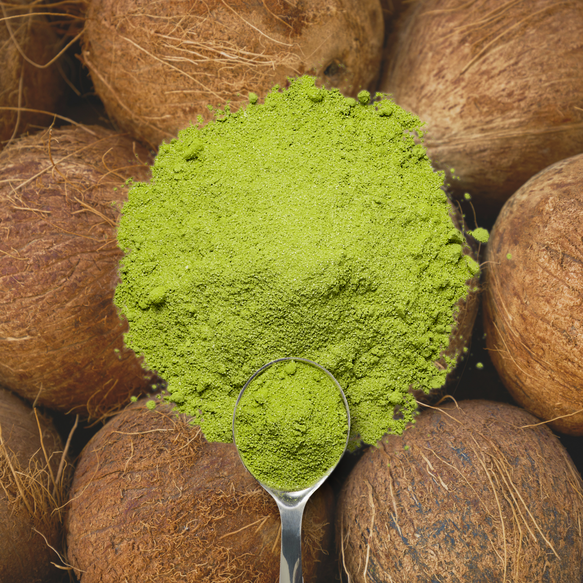 Organic Coconut Matcha