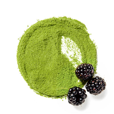 Blackberry Matcha