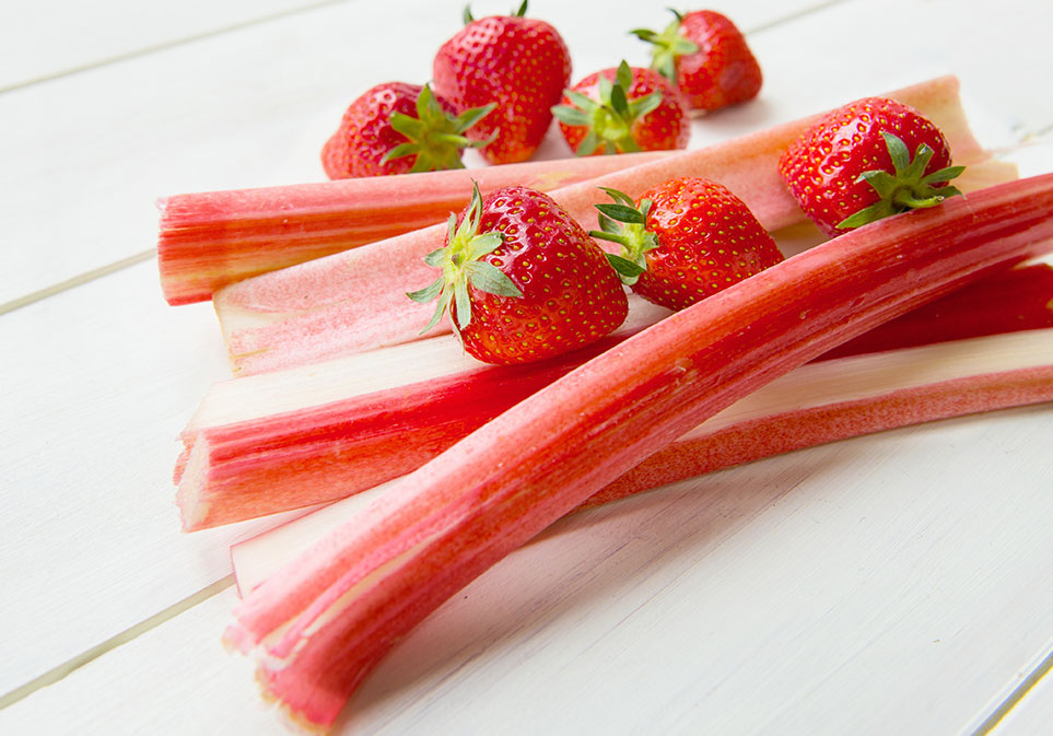 Strawberry Rhubarb Parfait Tea 250 g Bag – DAVIDsTEA