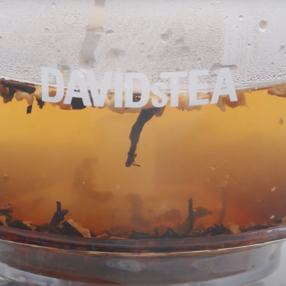 Hot Chocolate Tea | Tea - Prepacked Single Tea | DAVIDsTEA