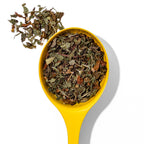 Organic Spearmint To Be Tea Herbal front view