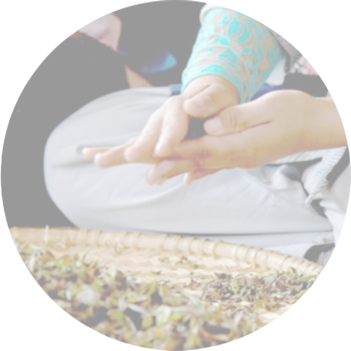 Traditional Tea Pt Traditional Teas 101 – DAVIDsTEA