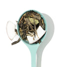 White Coconut loose leaf tea in a white spoon